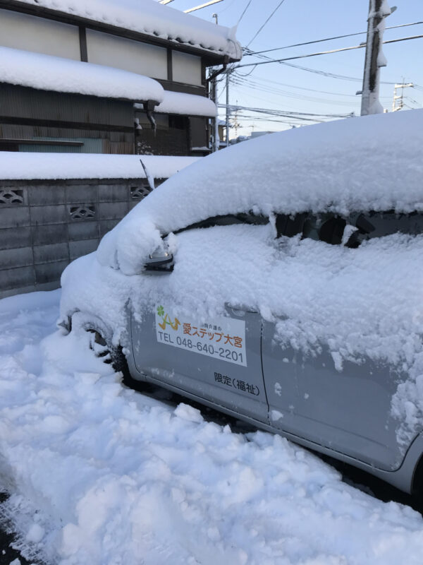 久しぶりの降雪サムネイル