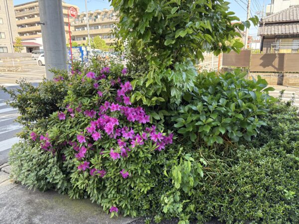 5月スタートサムネイル