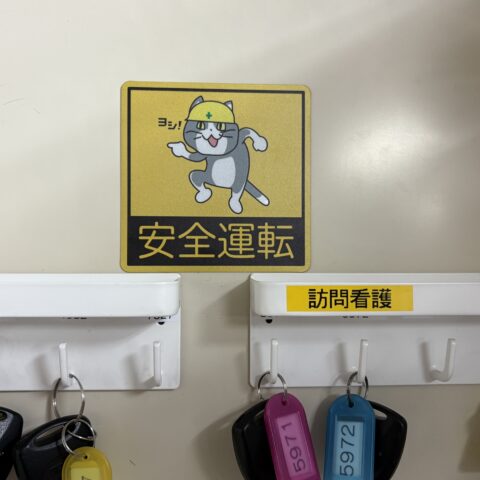 現場ネコサムネイル