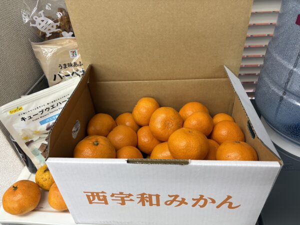 差し入れいただきました！サムネイル