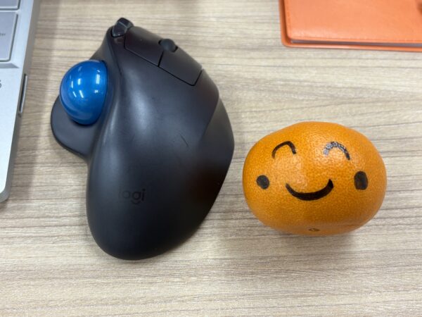 今年もあと半月サムネイル