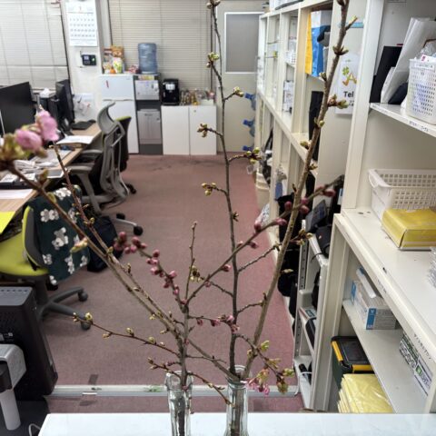 春が近づいているサムネイル