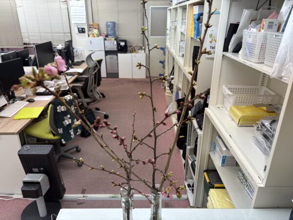 春が近づいているサムネイル