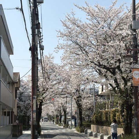 良き季節サムネイル