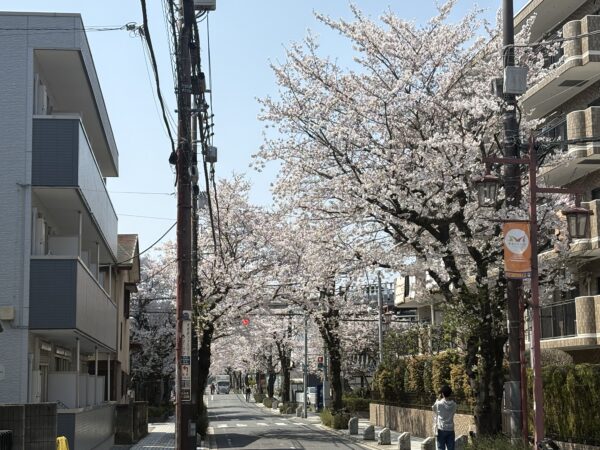 良き季節サムネイル