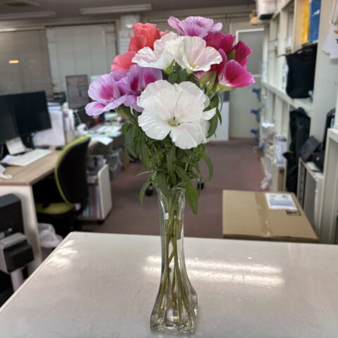 父がお花をくれましたサムネイル