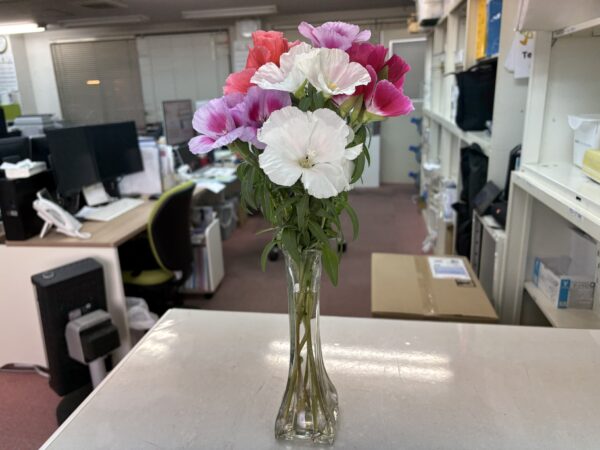 父がお花をくれましたサムネイル