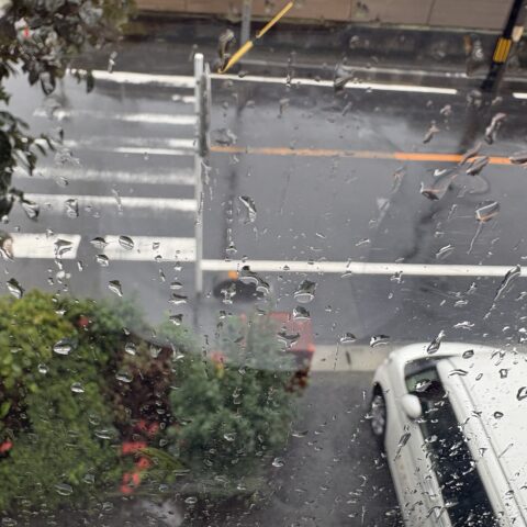台風25号サムネイル